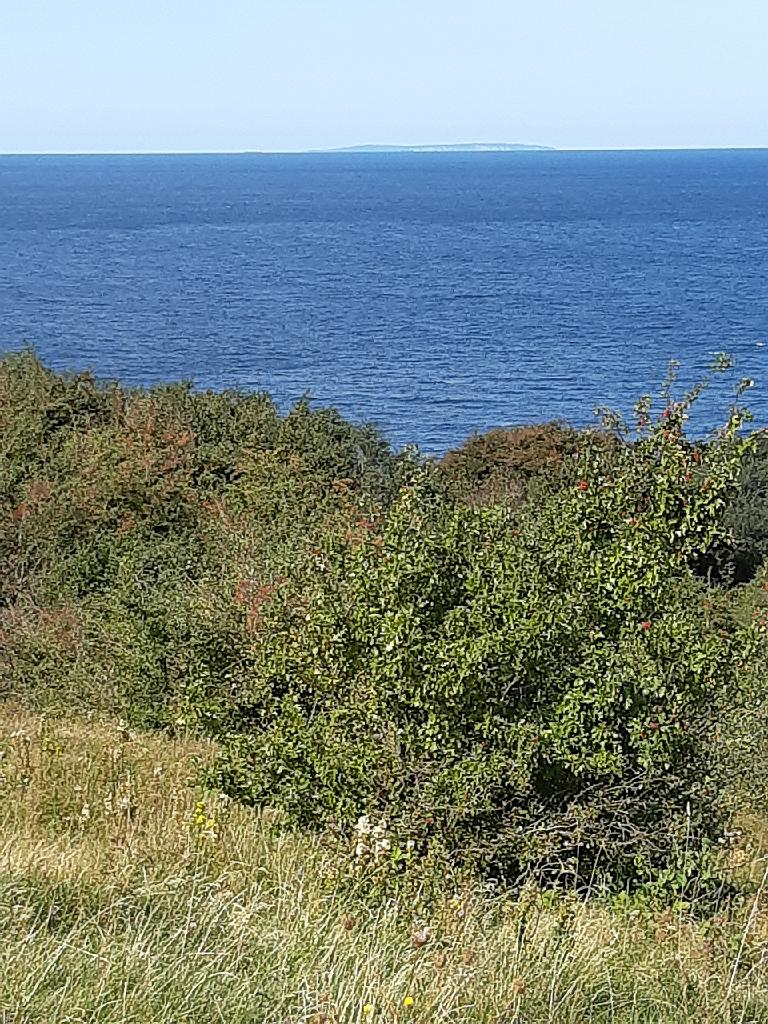Ruegen (235)